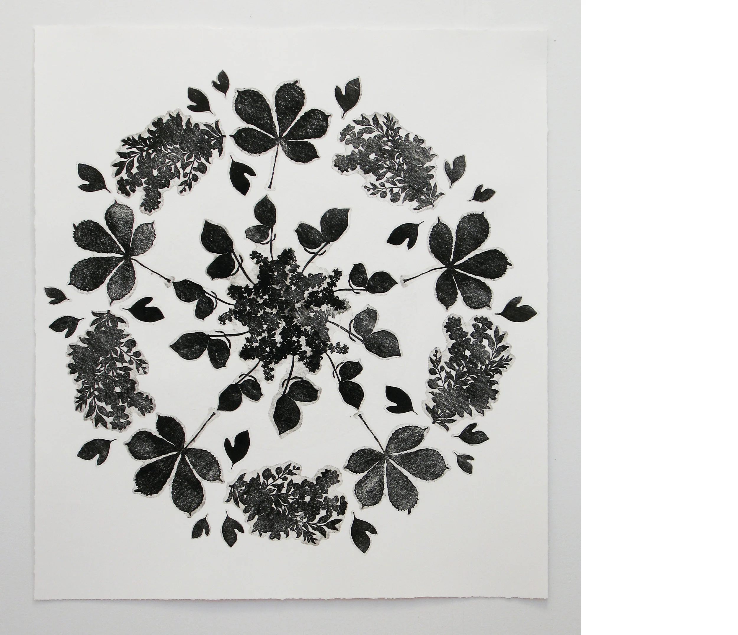 Untitled, 2009, gum arabic transfer, 40 x 36 inches