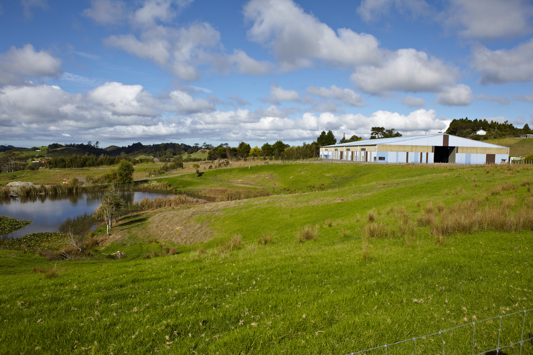 Studio in 3.78 ha setting, rural Wainui landscape