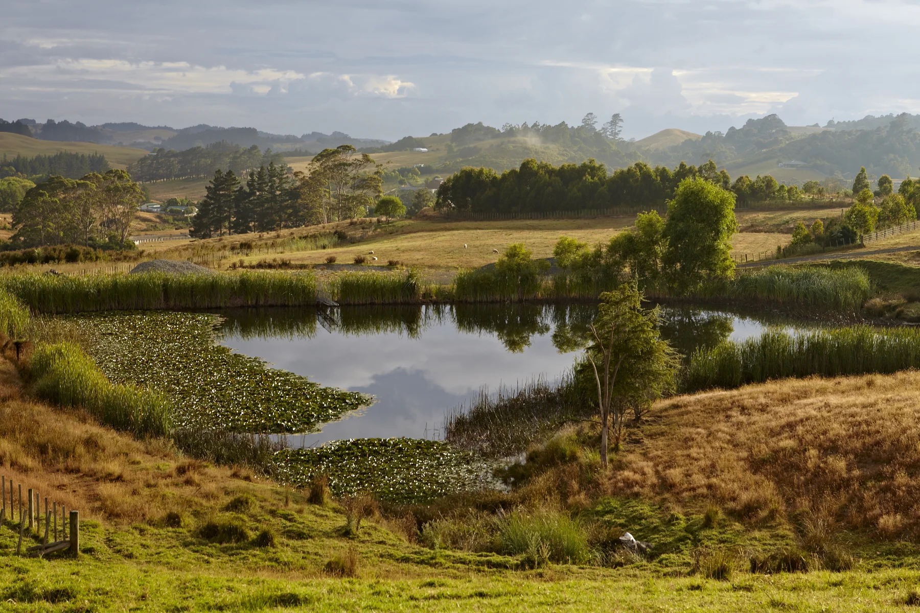 KPFS pond dawn 3757.jpg