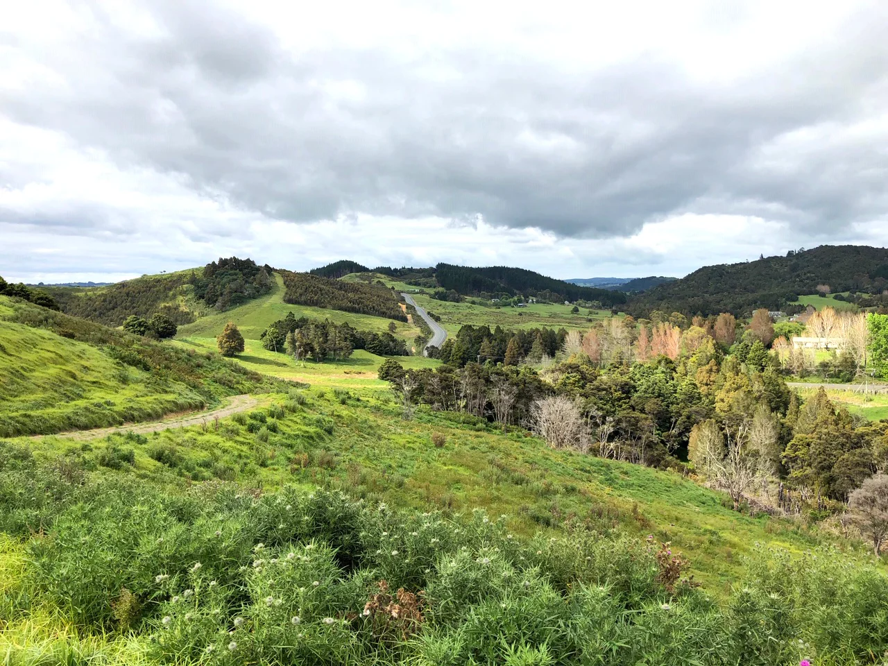 Haruru Rd location