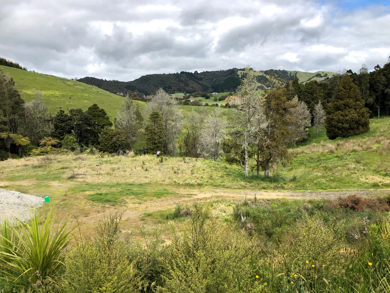 Haruru Rd Forest location