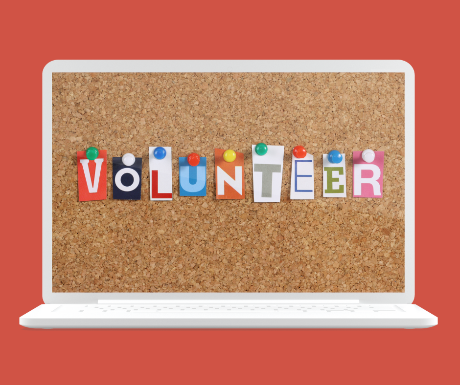 Volunteer in the New Year!