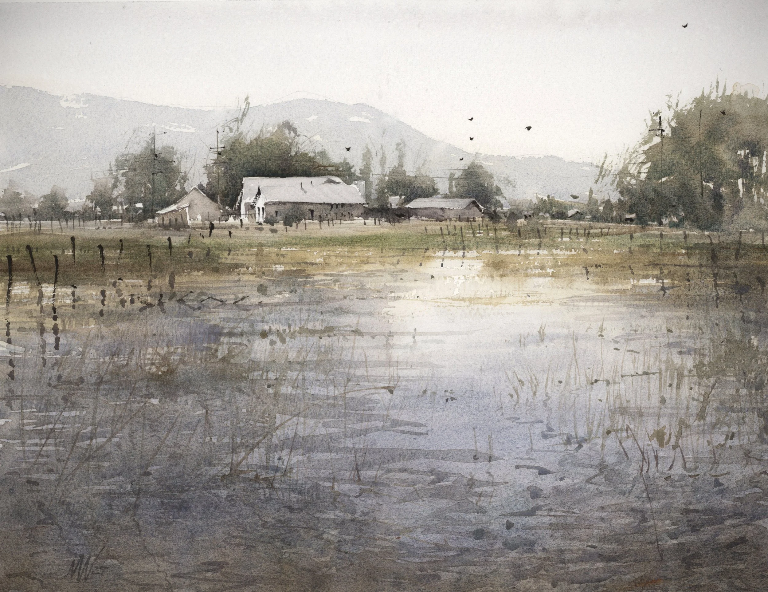 still, sometimes.jpg