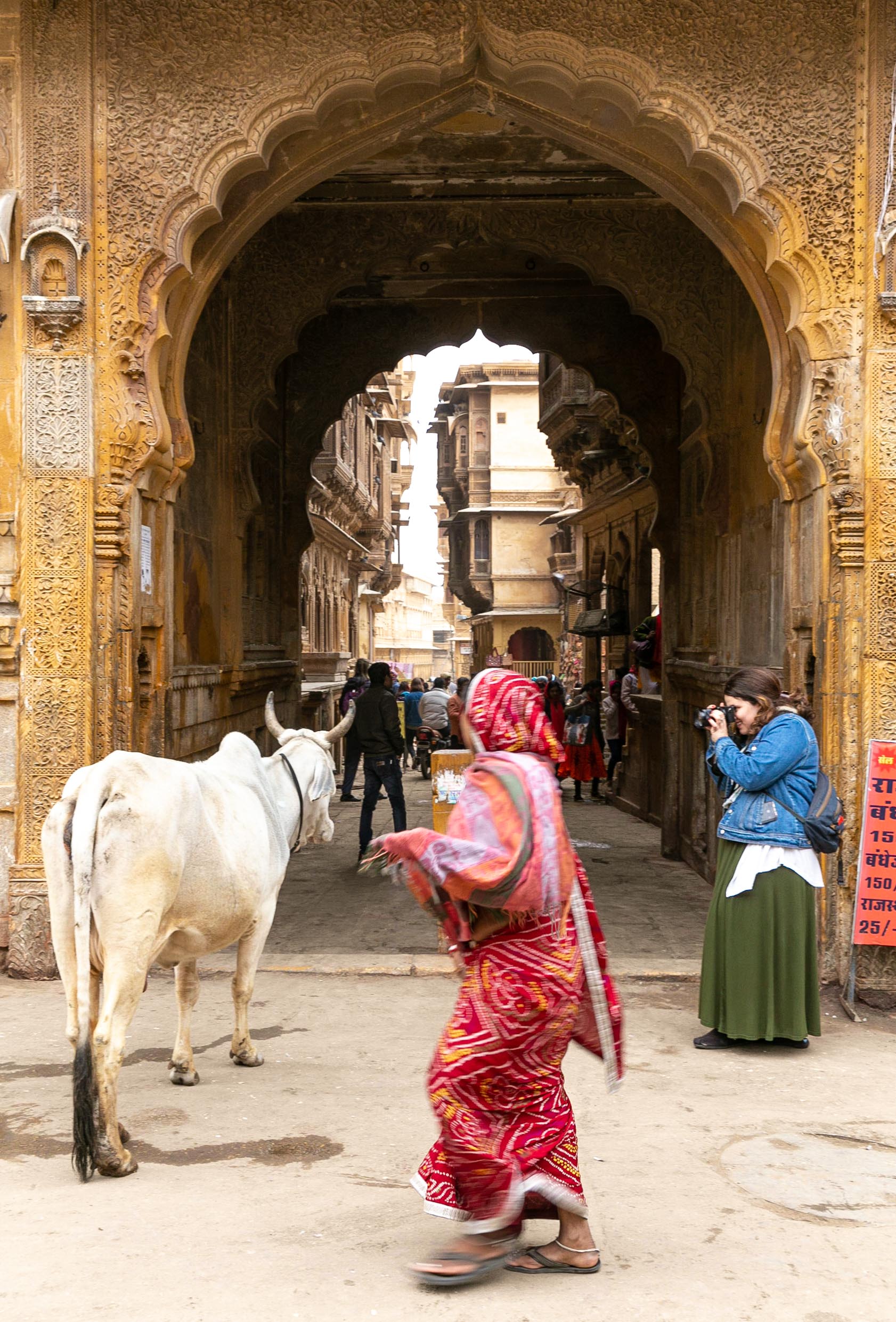 India-Wanderful-3-2019-55.jpg