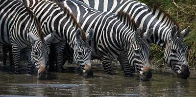 Tanzania-22.jpg