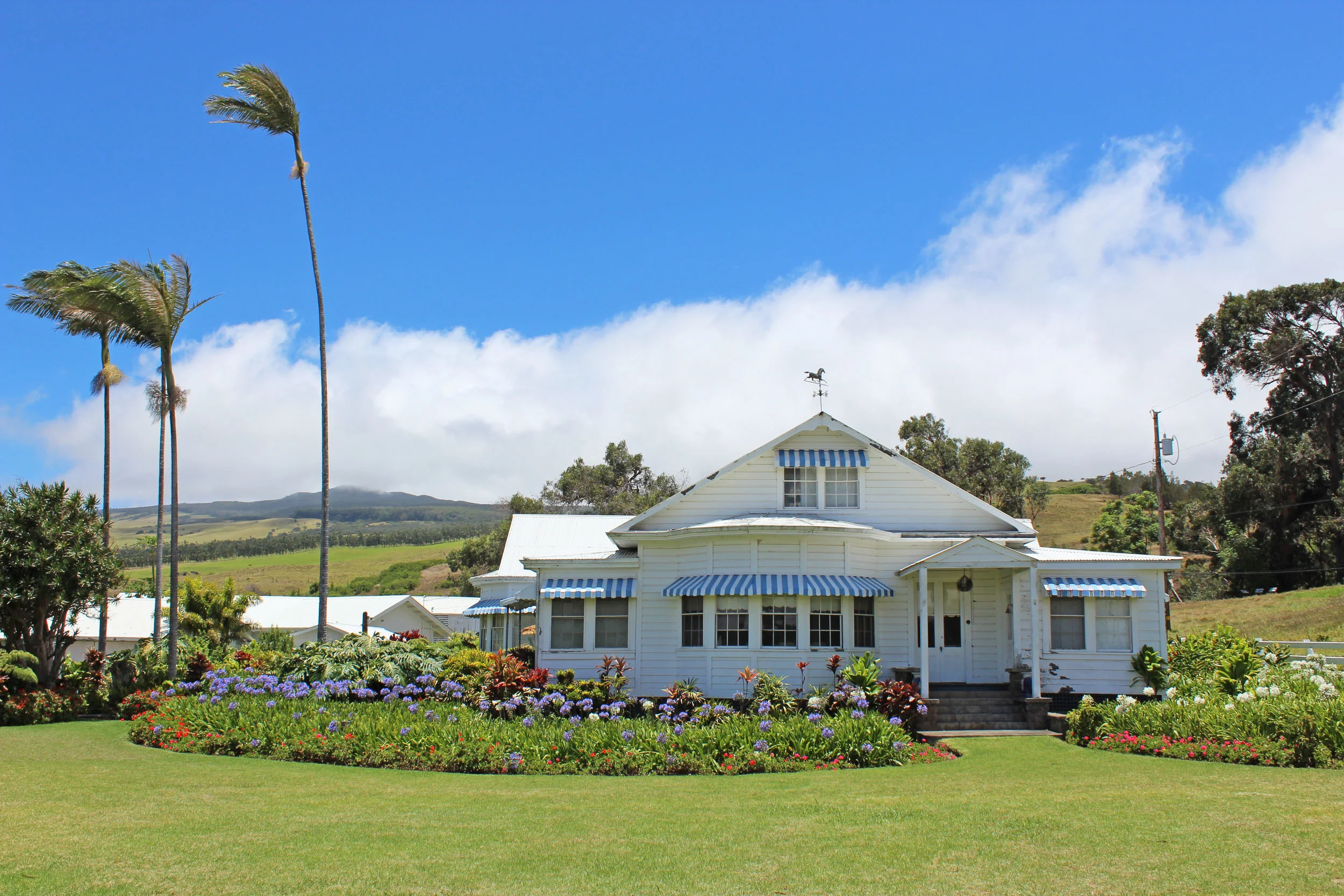 The Front Lawn