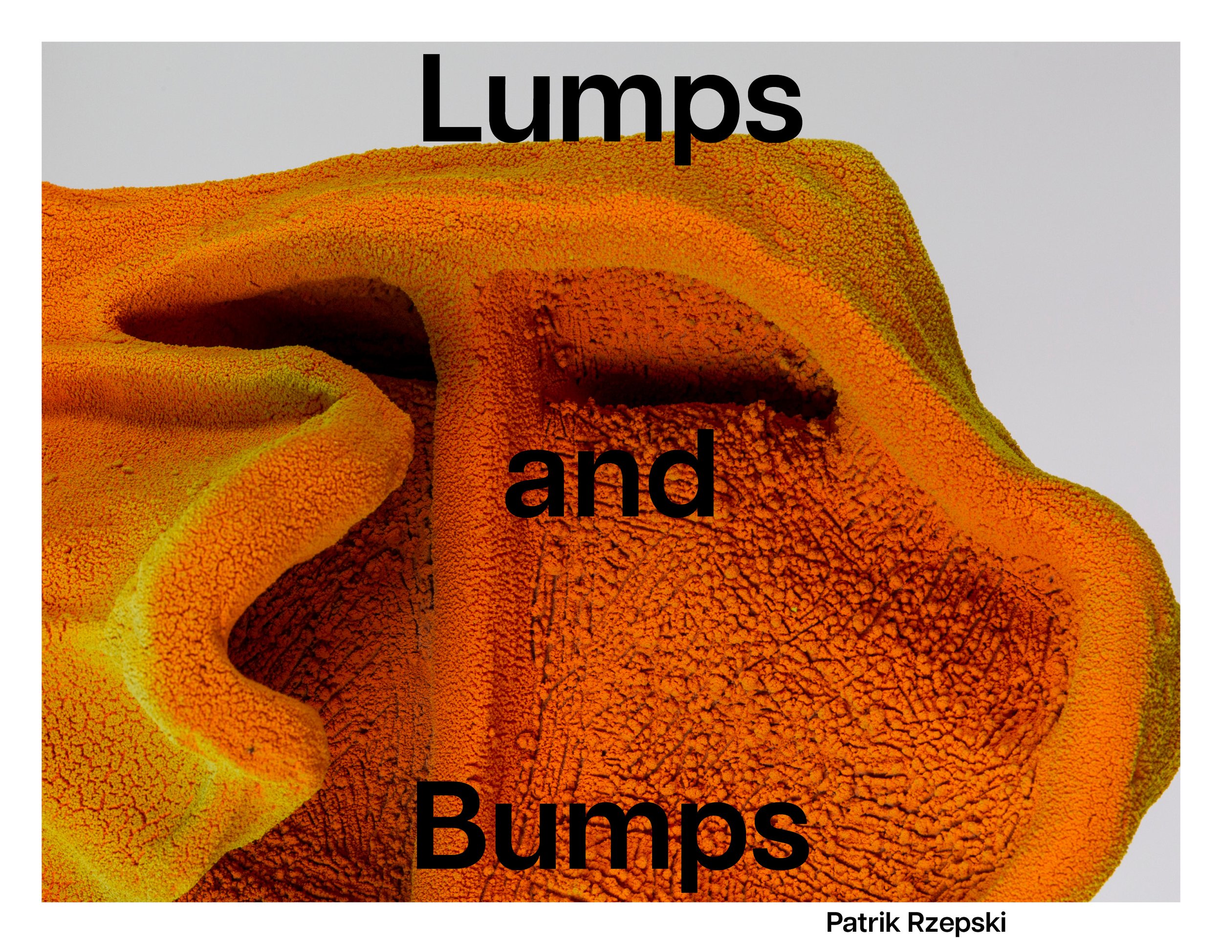 Lumps and Bumps PATRIK RZEPSKI.jpg
