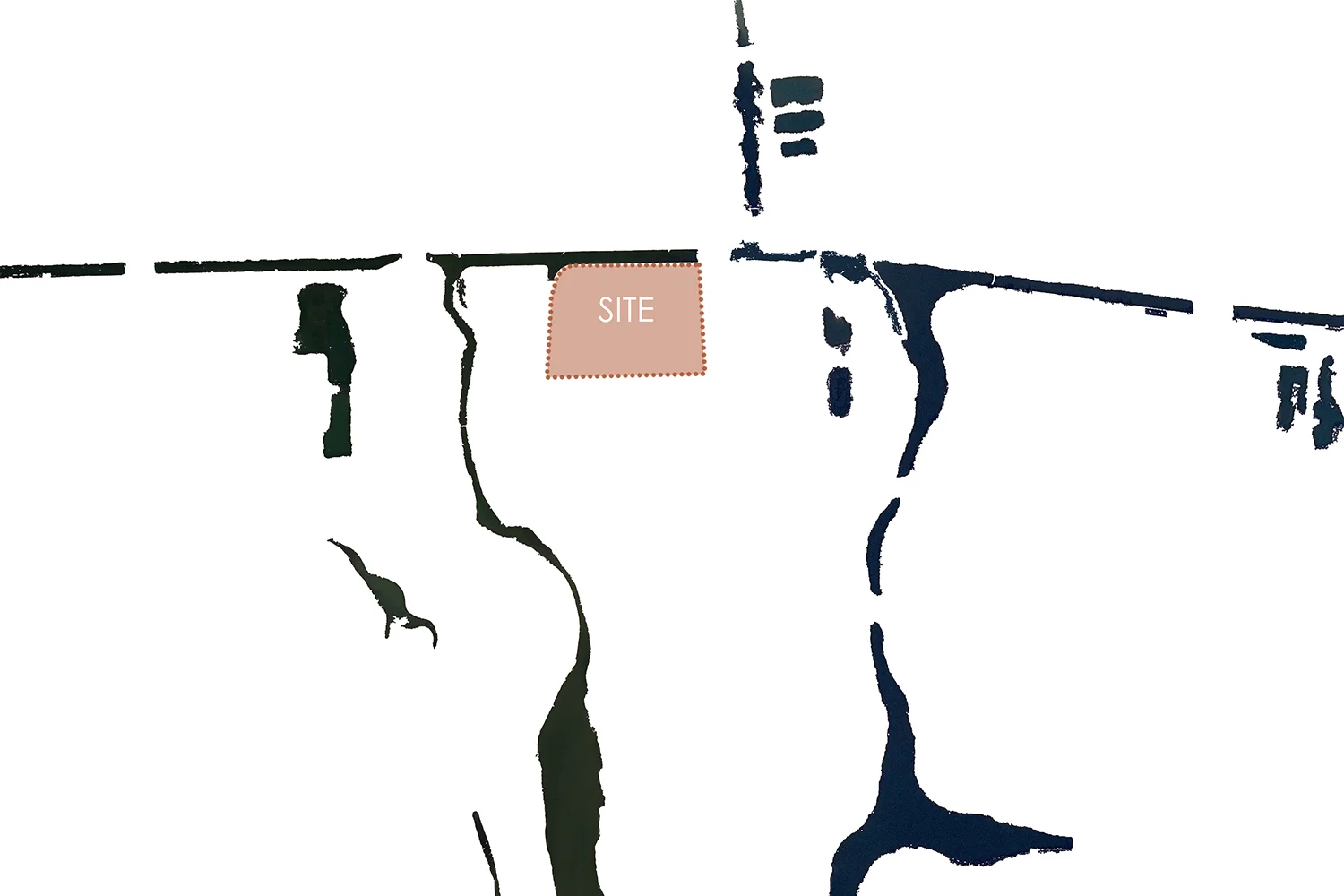 site02 2.jpg