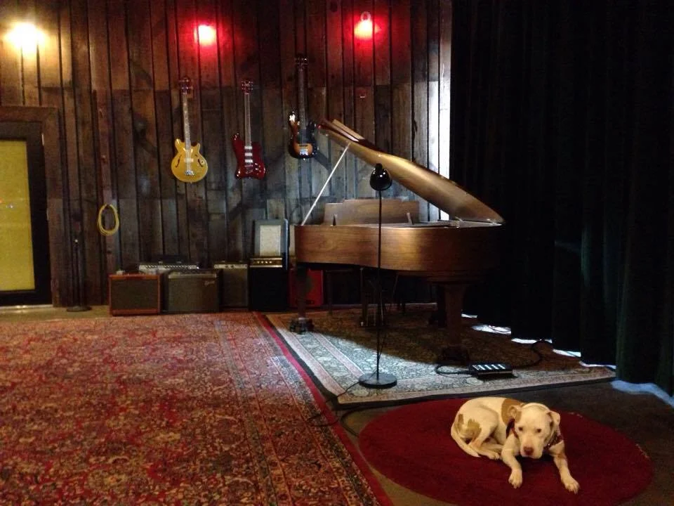 HoneyPie rug cloudcity.jpg