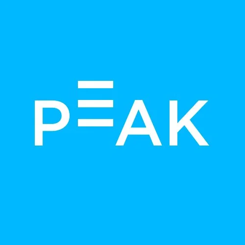 odettainc-peak-logo.jpg