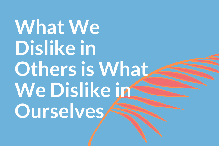 What We Dislike in Others is What We Dislike in Ourselves