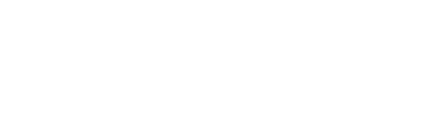 Digital Frontier FX logo