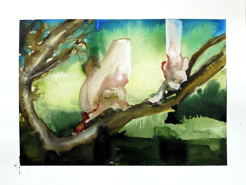 Tree Dwellers