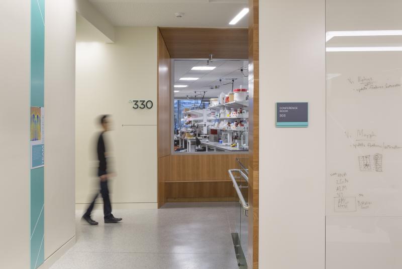 Lab fronts are transparent to give a sense of ‘passing through’—enforcing the exploratory nature of the Institute throughout the building. Photographer: Lara Swimmer