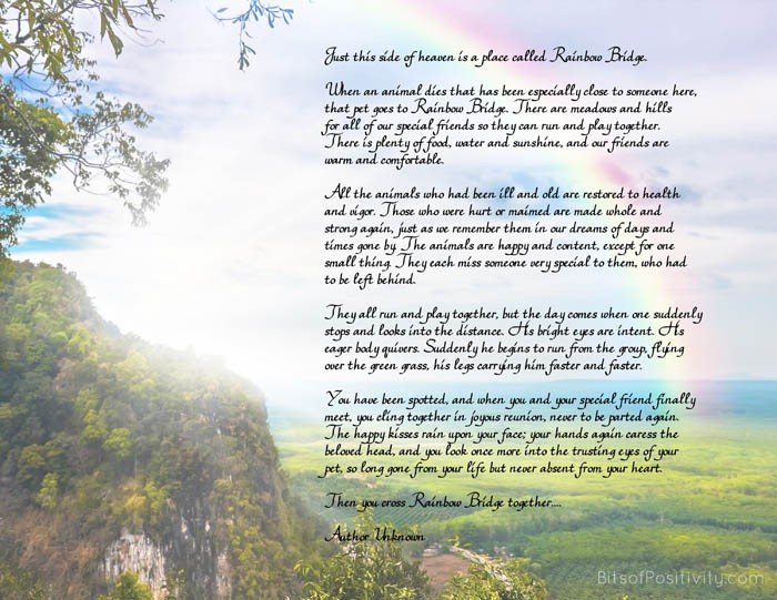 Rainbow Bridge Poem.jpg