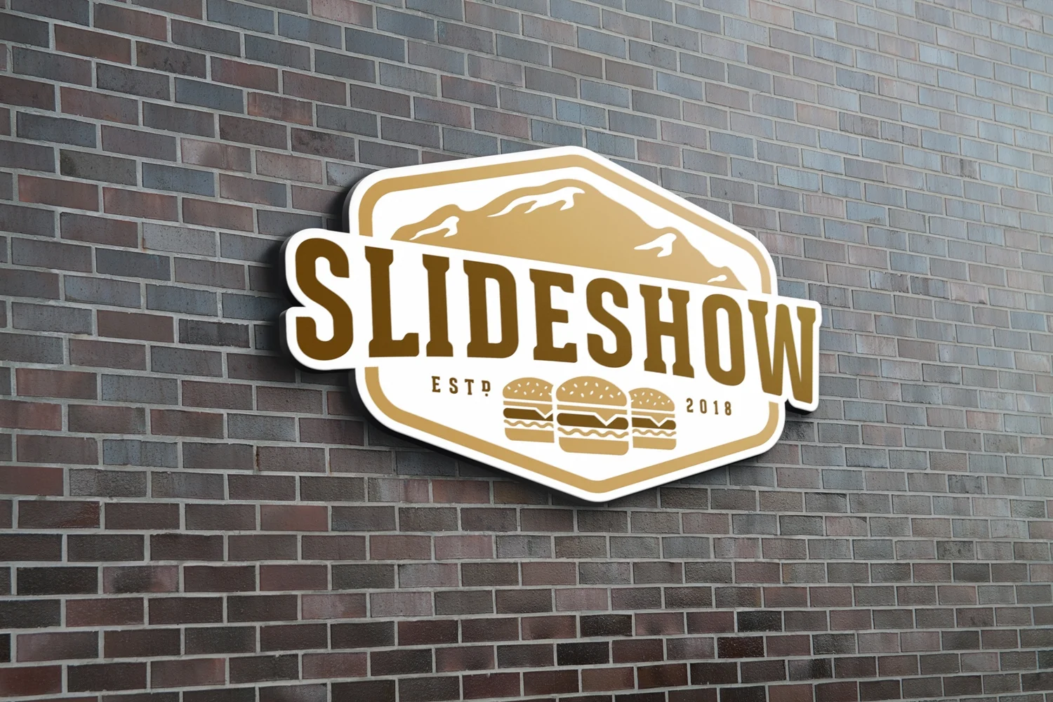 slideshoe.jpg