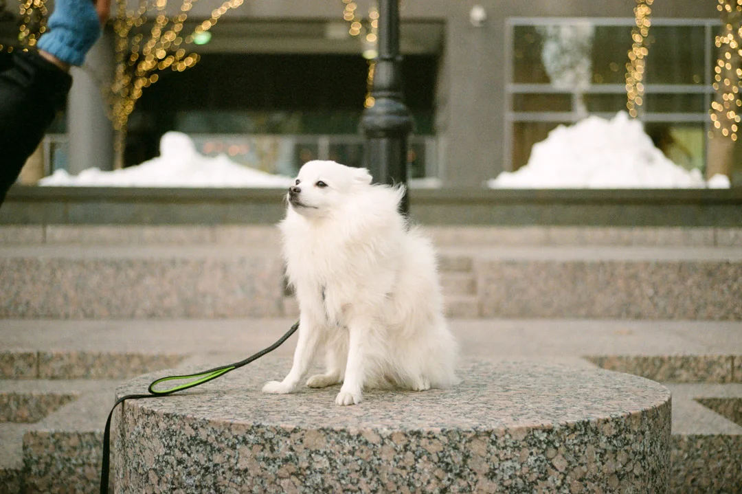 Leica M3 Portra 800-939900010021.jpg