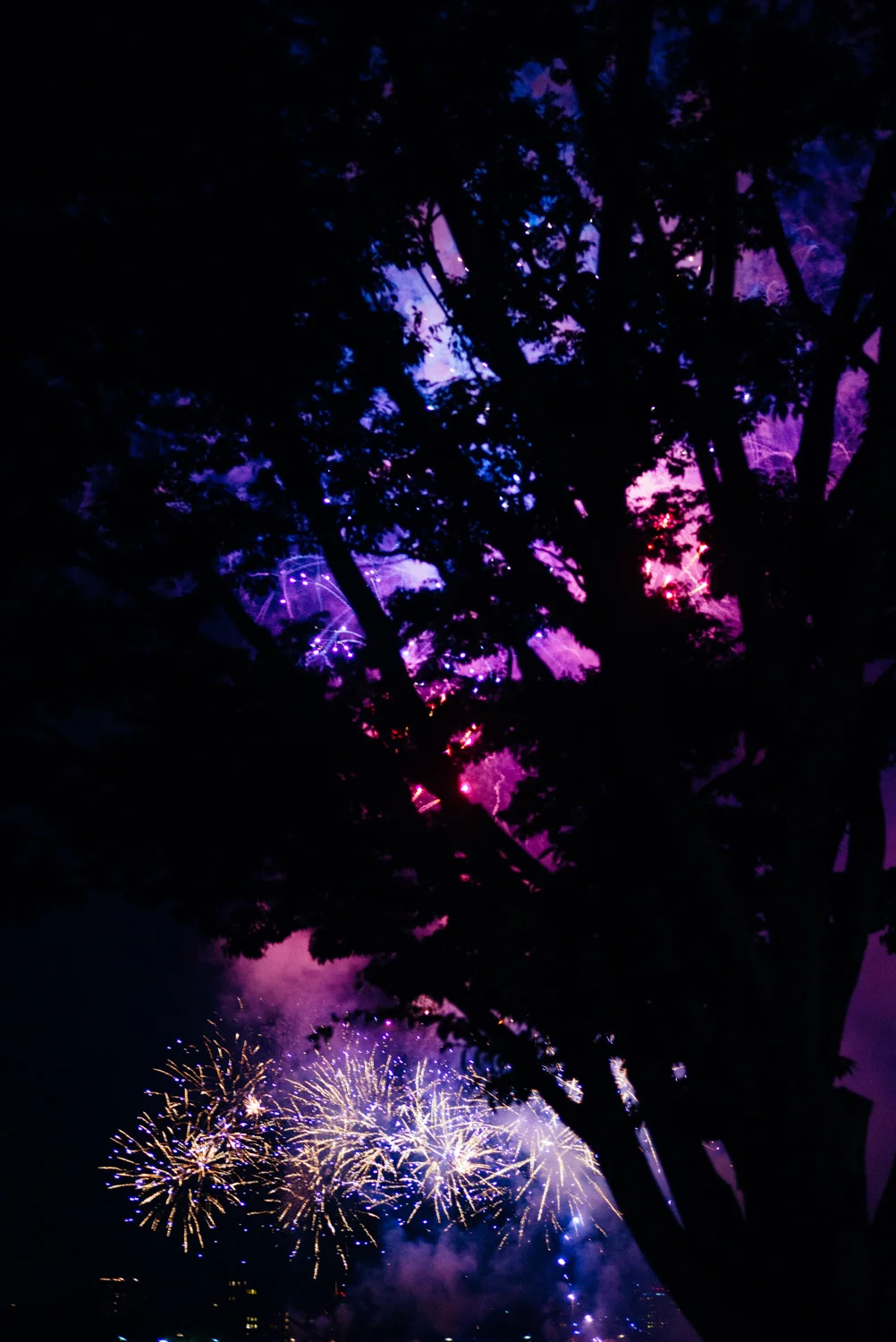 July 4th Color-1202.jpg