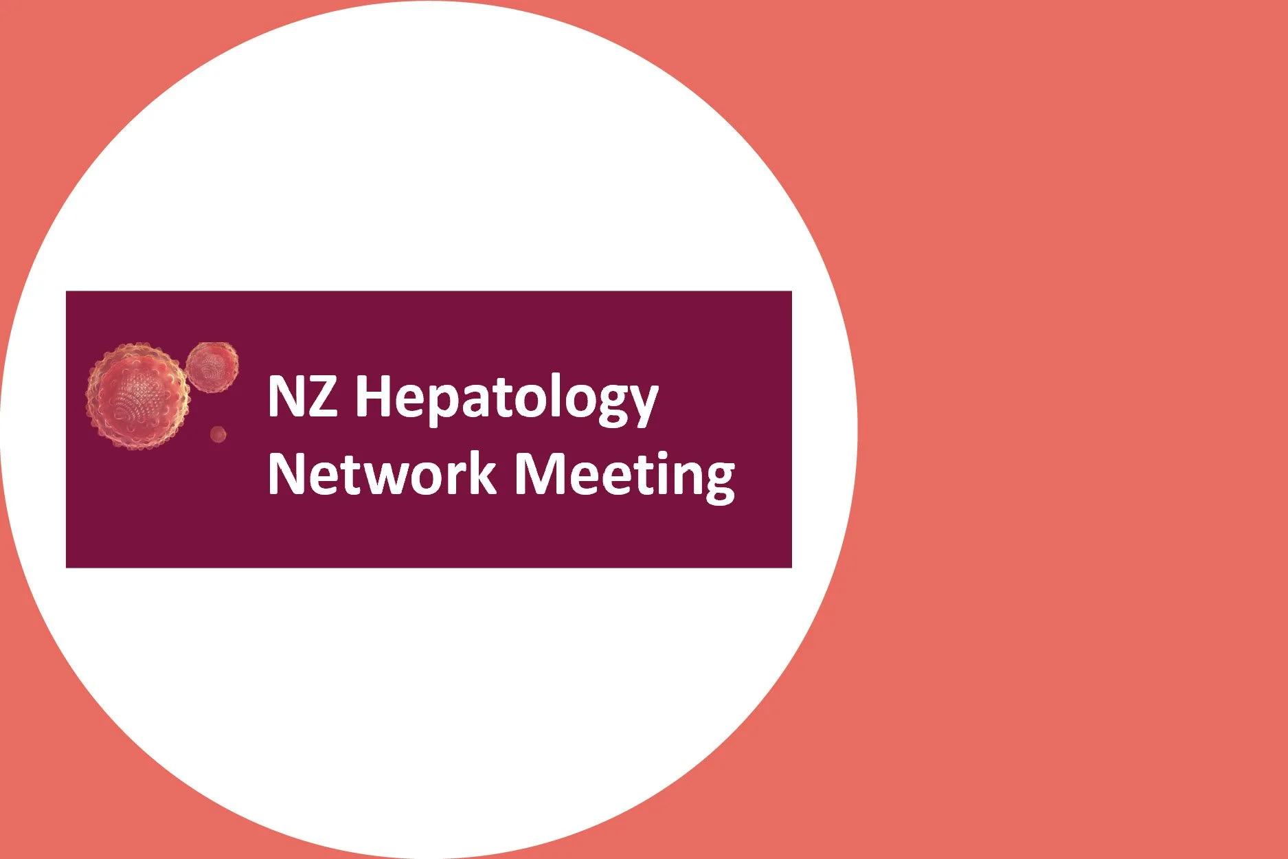NZ Hepatology Network Meeting