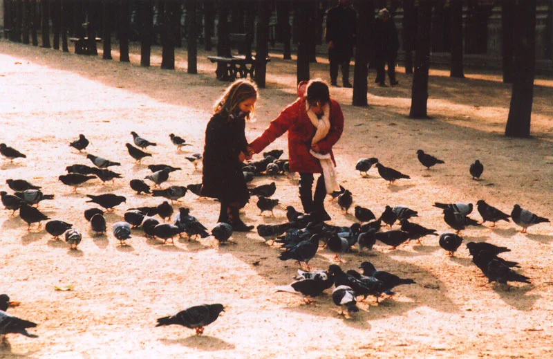 parisbirds1.jpg