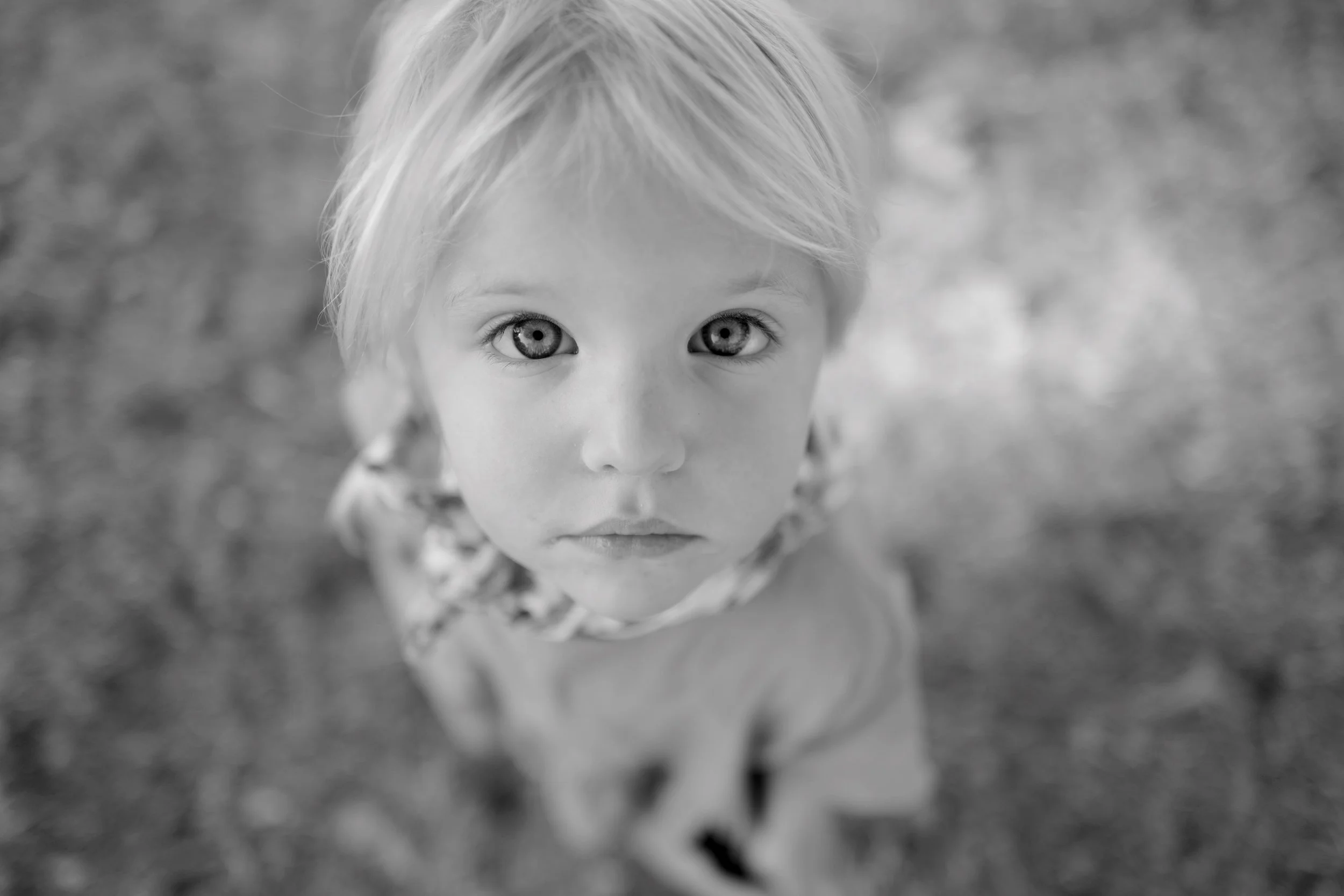 L1010027.jpg