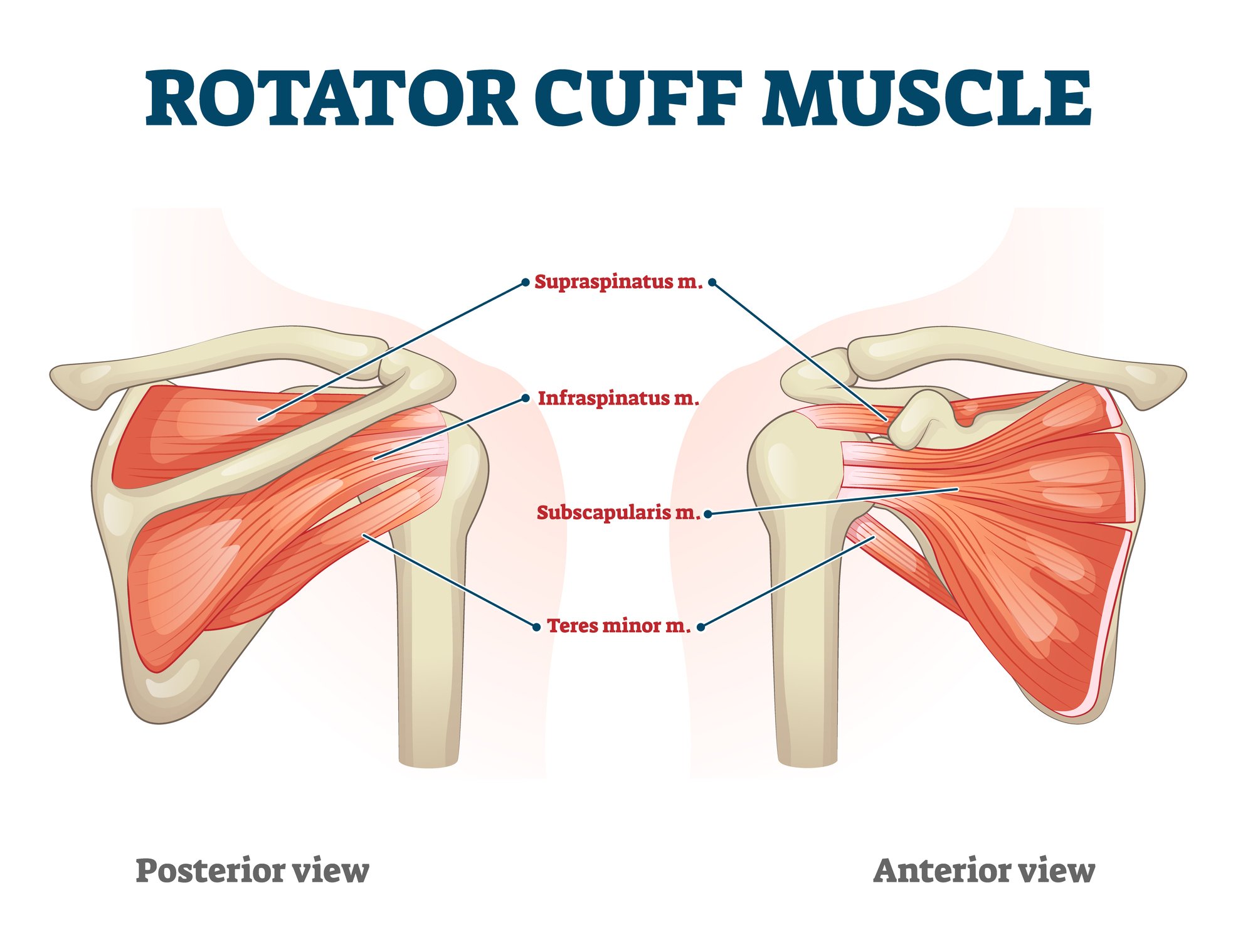 Rotator Cuff Tear Treatment, Arthroscopic Rotator Cuff Repair, Minimally-Invasive