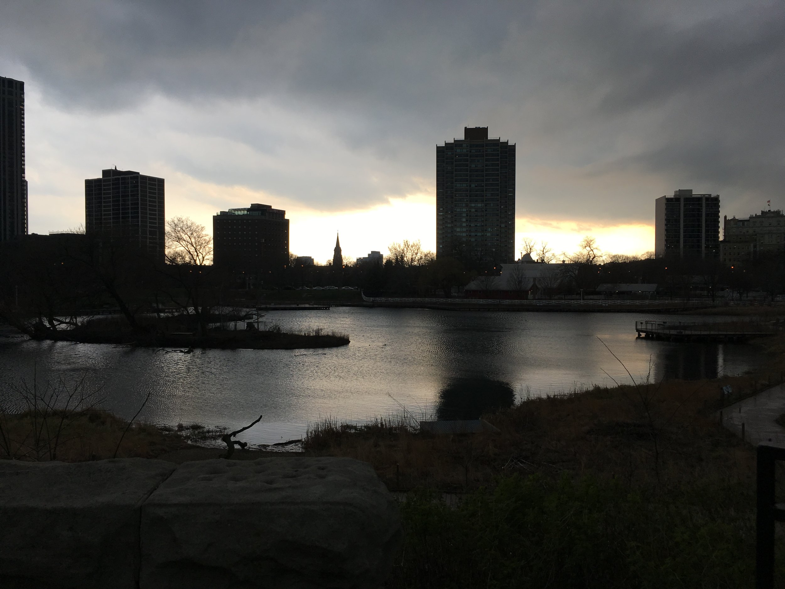 South pond near the zoo. I rarely run at this time of day - the light was so beautiful