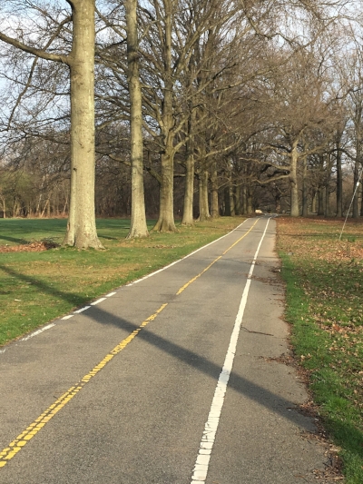 City girl trail