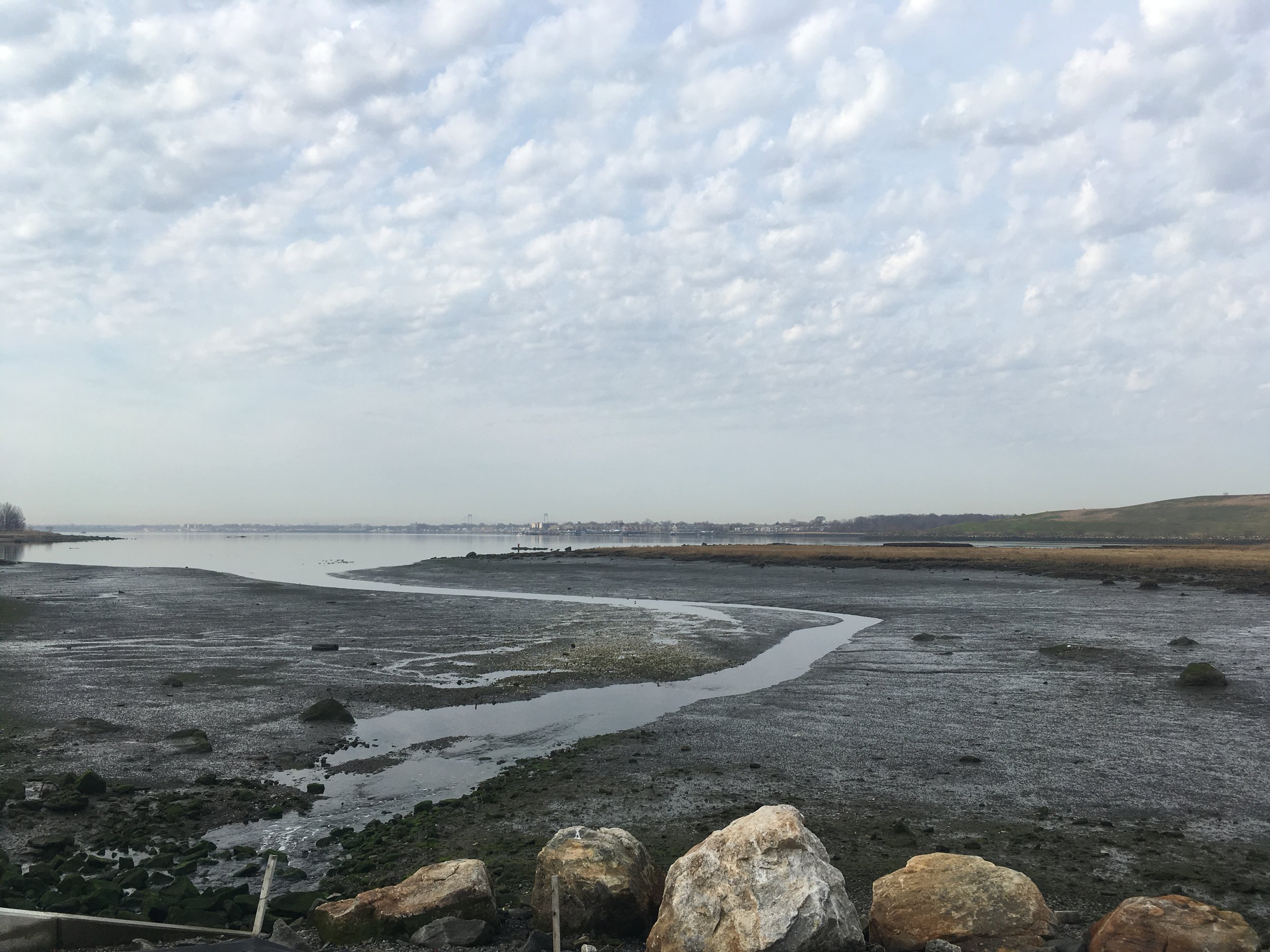 Low tide! Whitestone Bridge in the far background.
