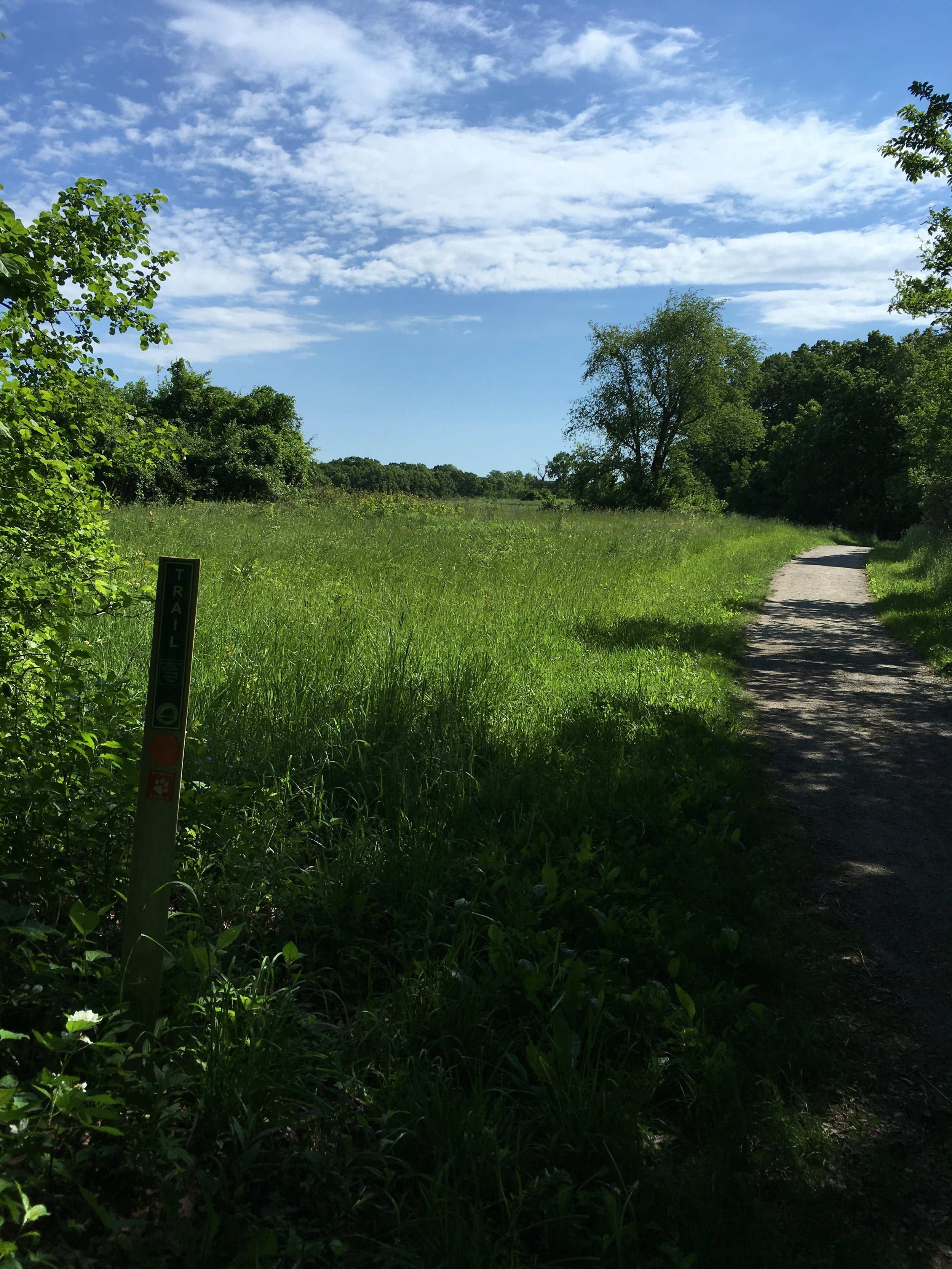 Beautiful day in the 'burbs