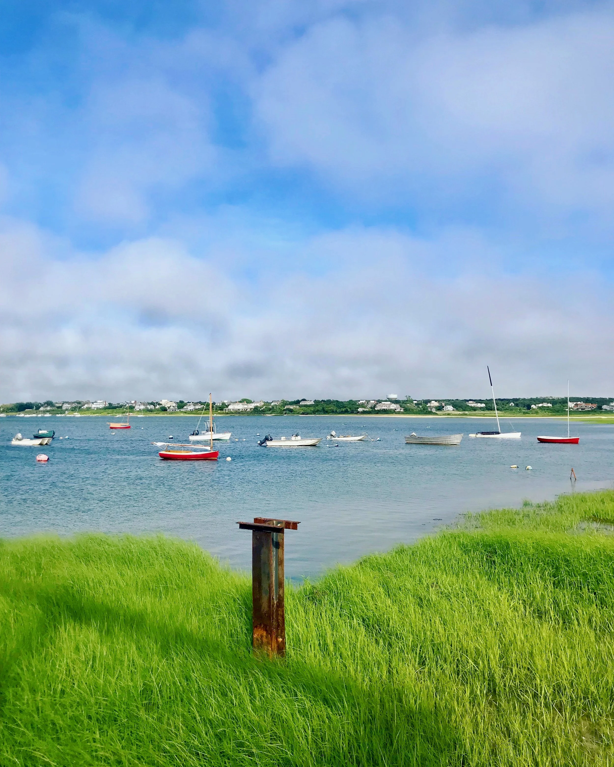 IMG_6790.jpg