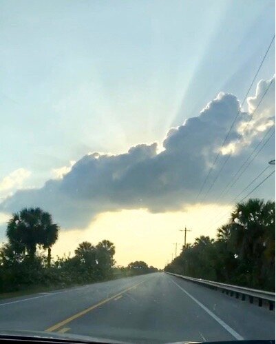 everglades.jpg