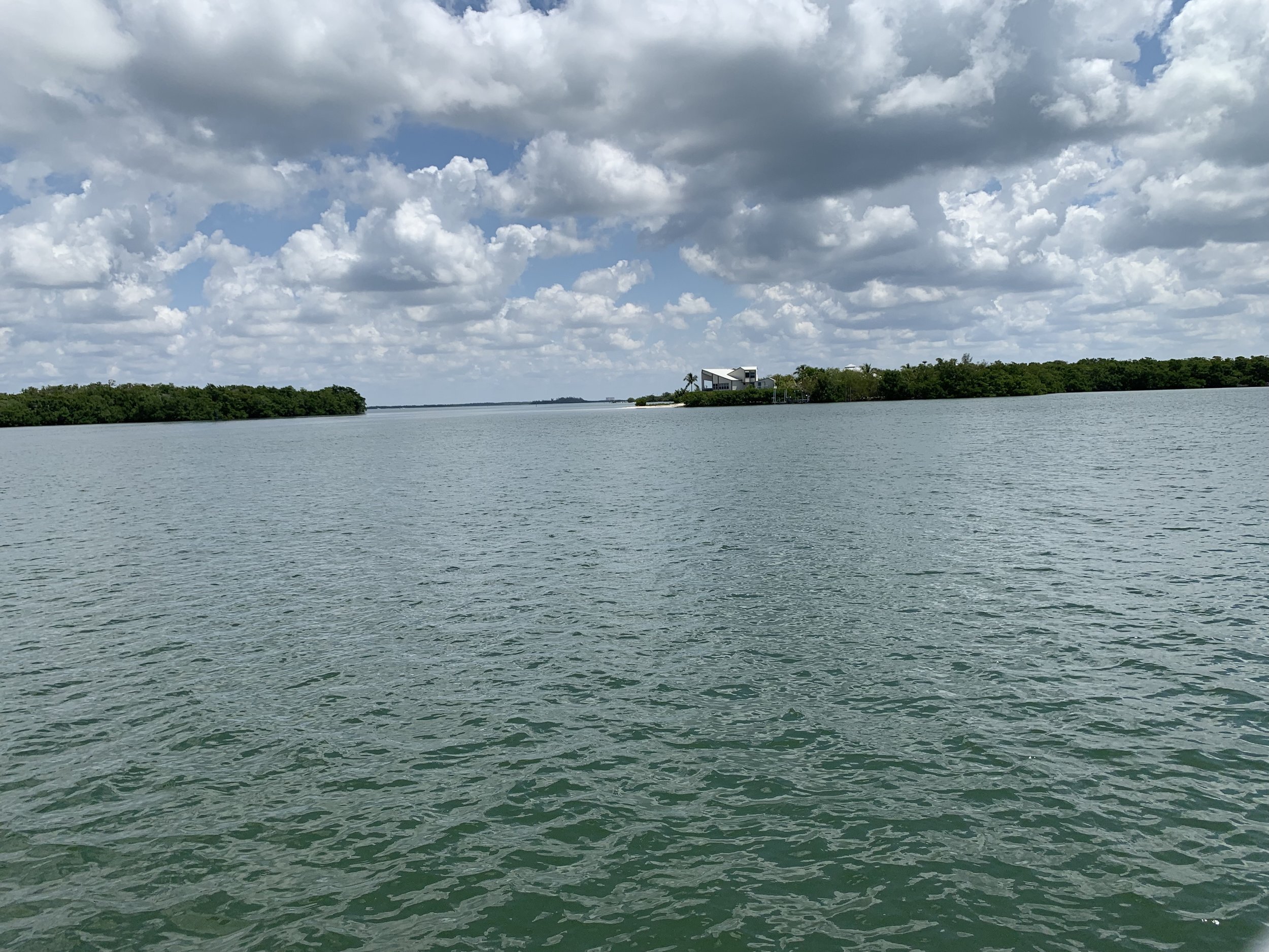 IMG_0239.jpg