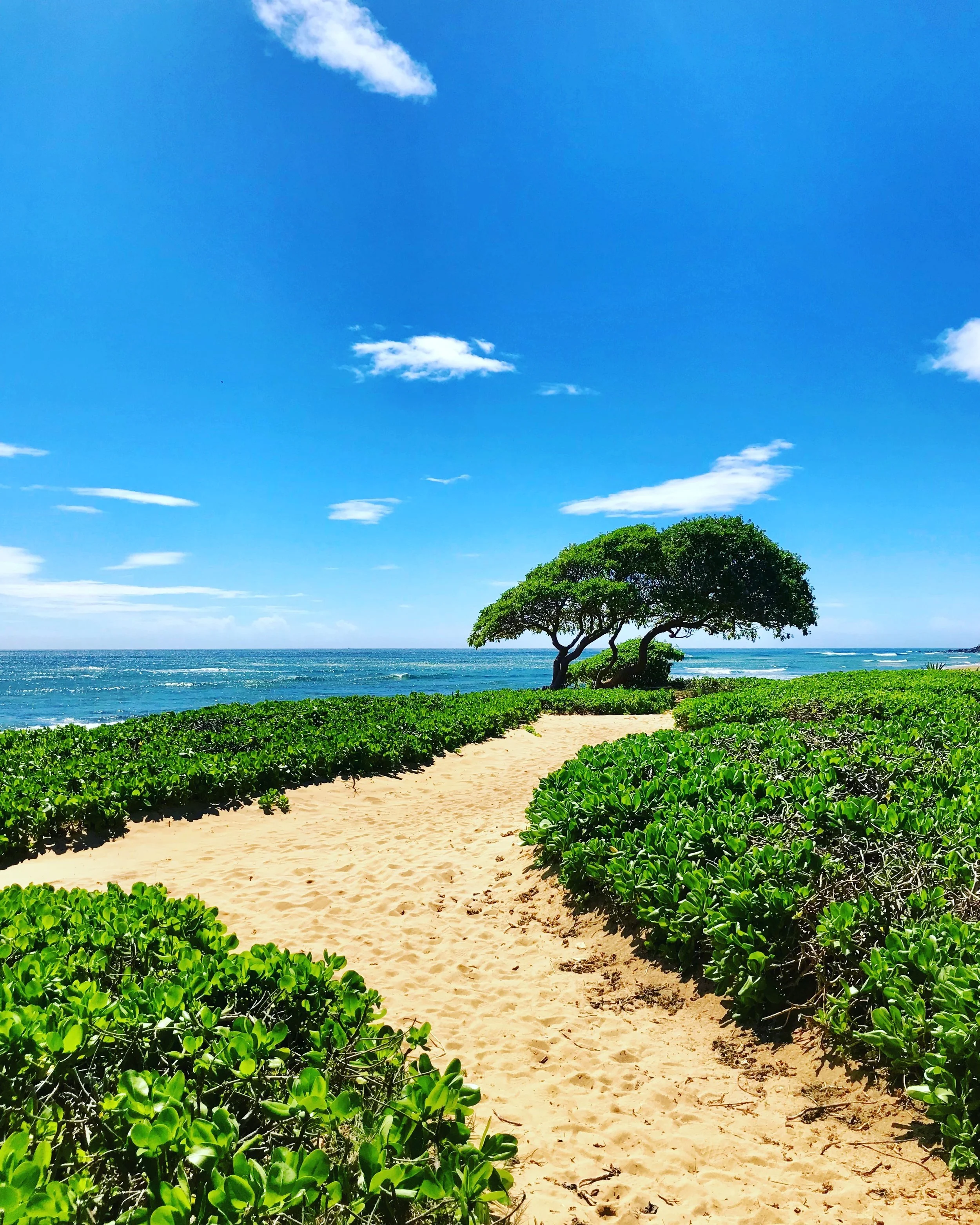 4-+aqua+beach+resort+3.jpg