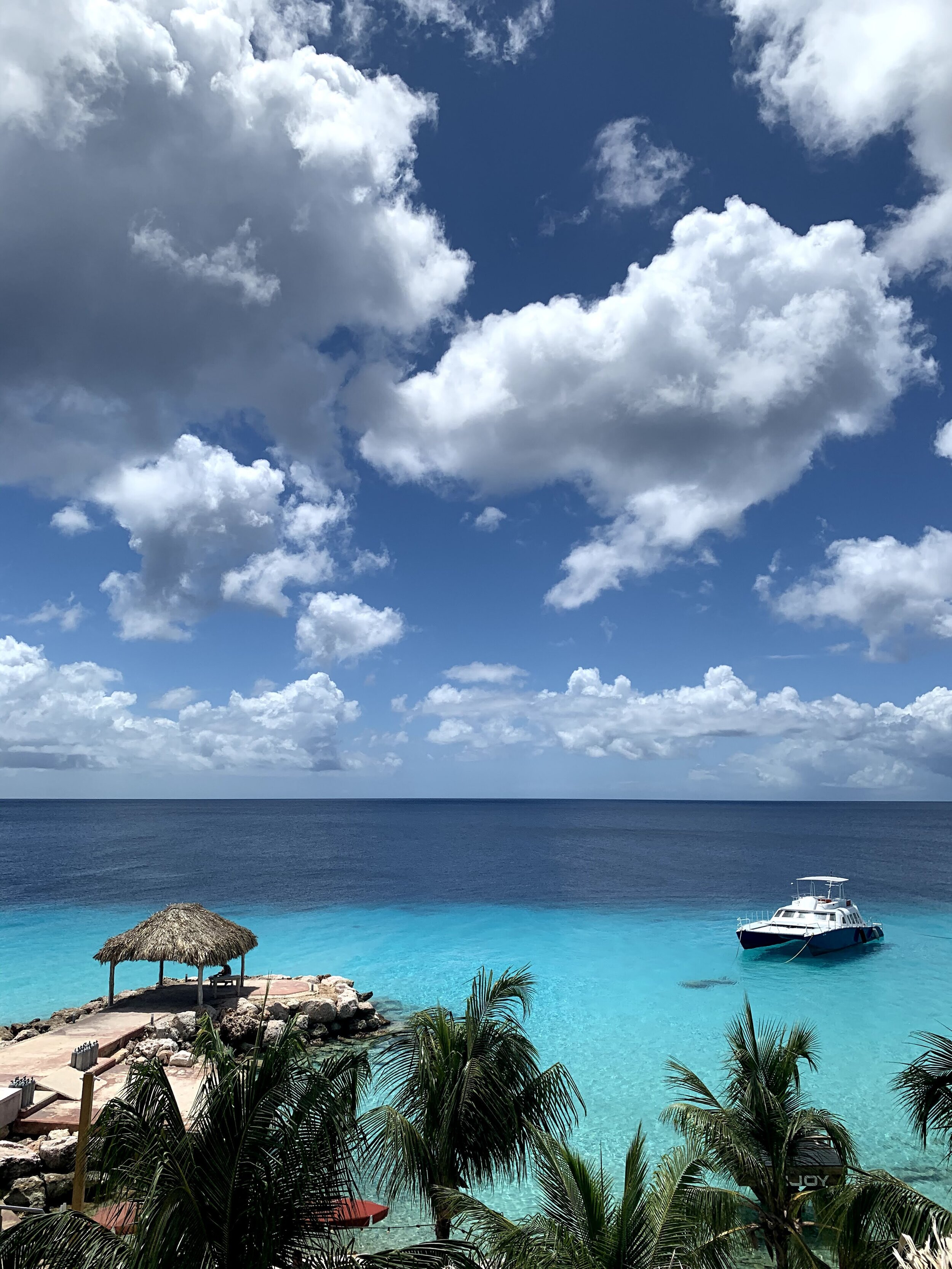 Karakter Curacao- c_o @KatherineParkerMagyar..jpg