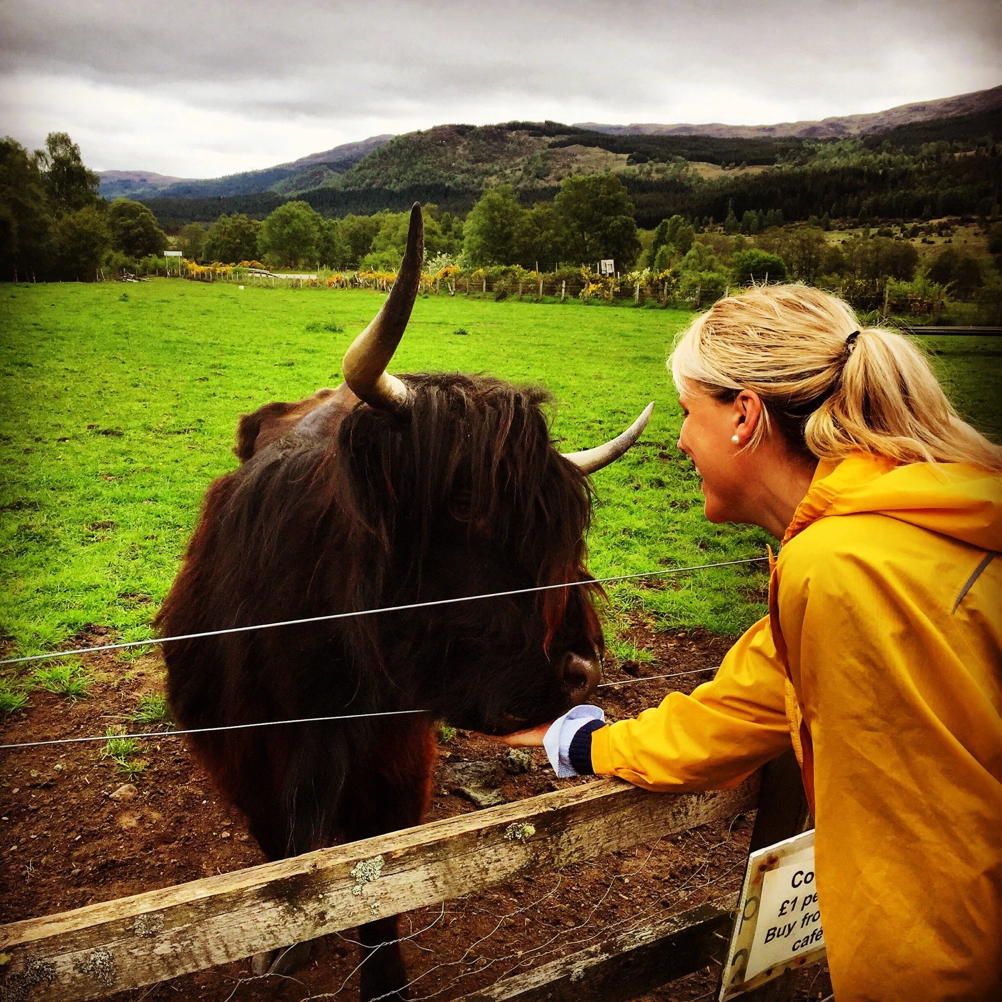 Scotland- in the highlands.jpg