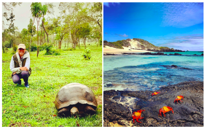 Screen Shot 2021-03-03 at 3.42.59 PM.png