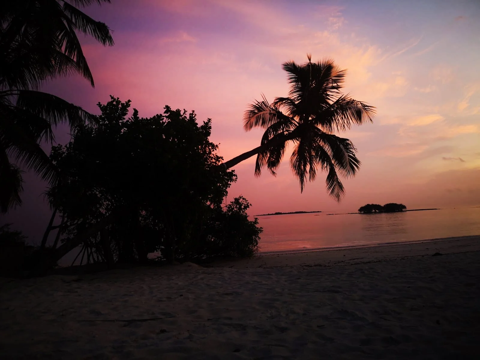 0b0e3def-8518-43ed-adc3-444fb9090a13 2.JPG