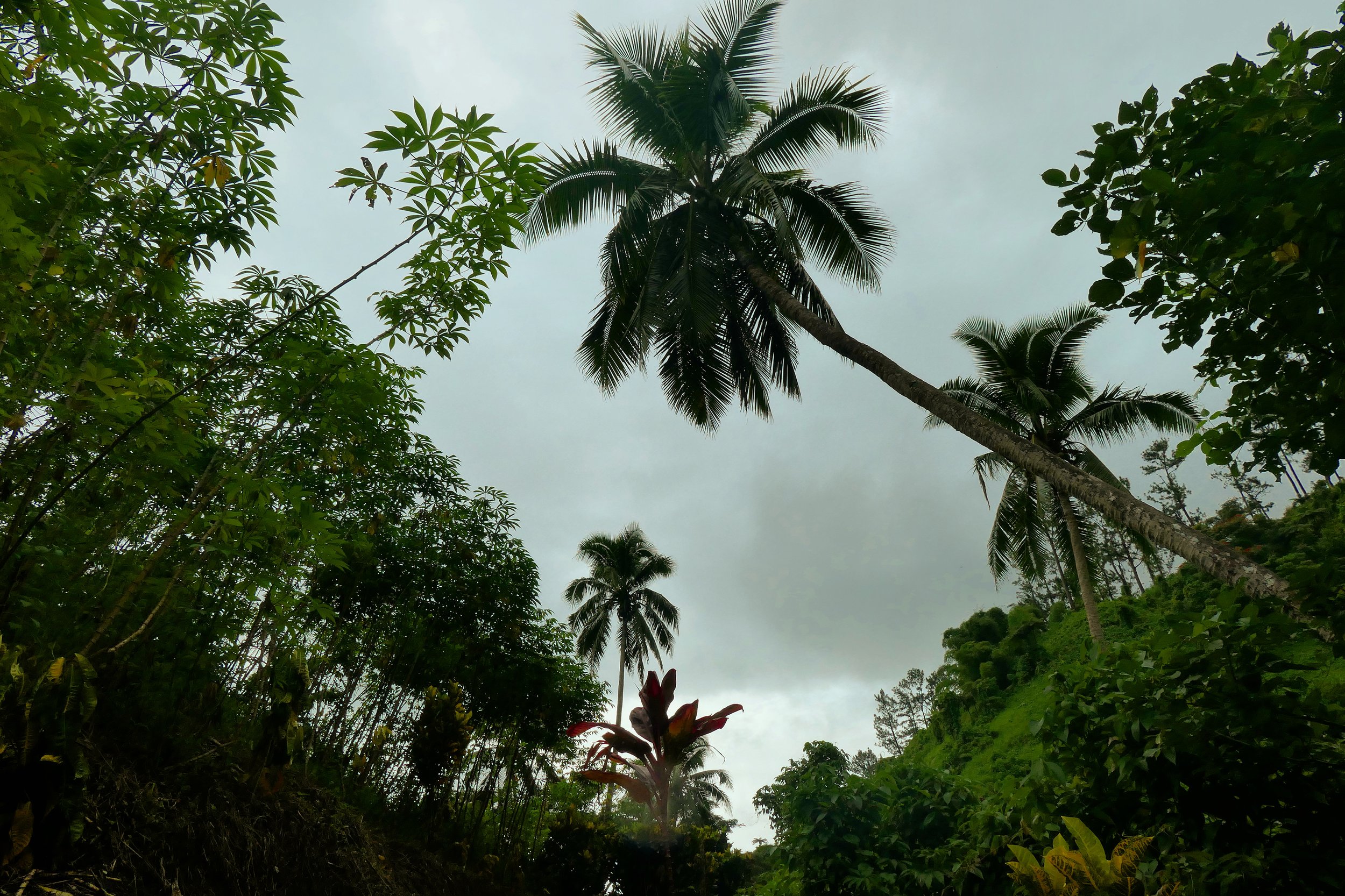 Copy of Stormy weather during monsoon season in Fiji passes quickly, though Savusavu on the eastern side of the island chain is known to be rainier.JPG