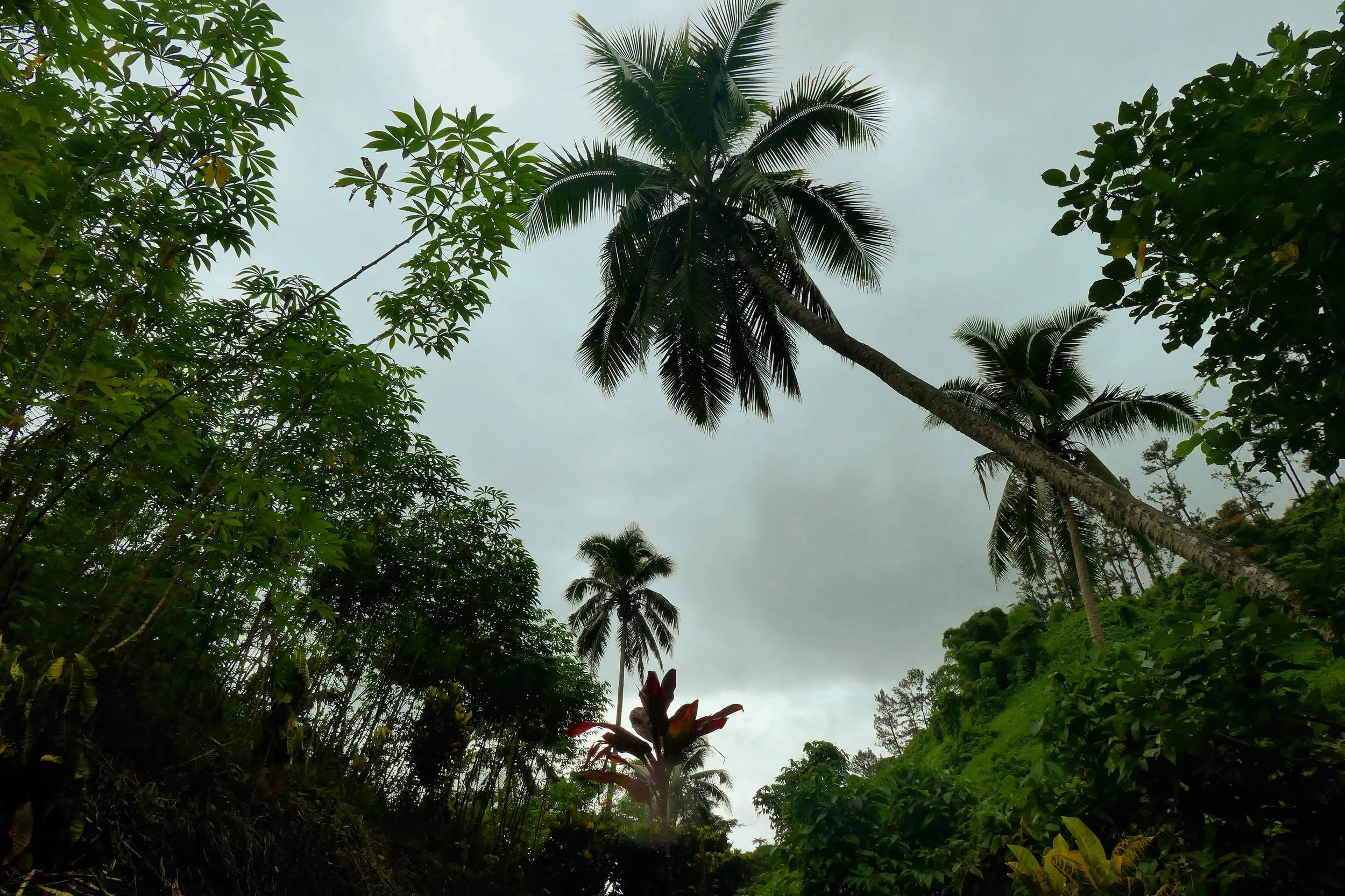 Copy of Stormy weather during monsoon season in Fiji passes quickly, though Savusavu on the eastern side of the island chain is known to be rainier.JPG