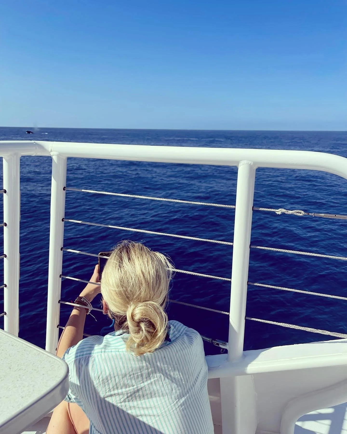 Spotting humpback whales is east when you go out on a boat sponsored by the Pacific Whale Foundation in Maui.JPG