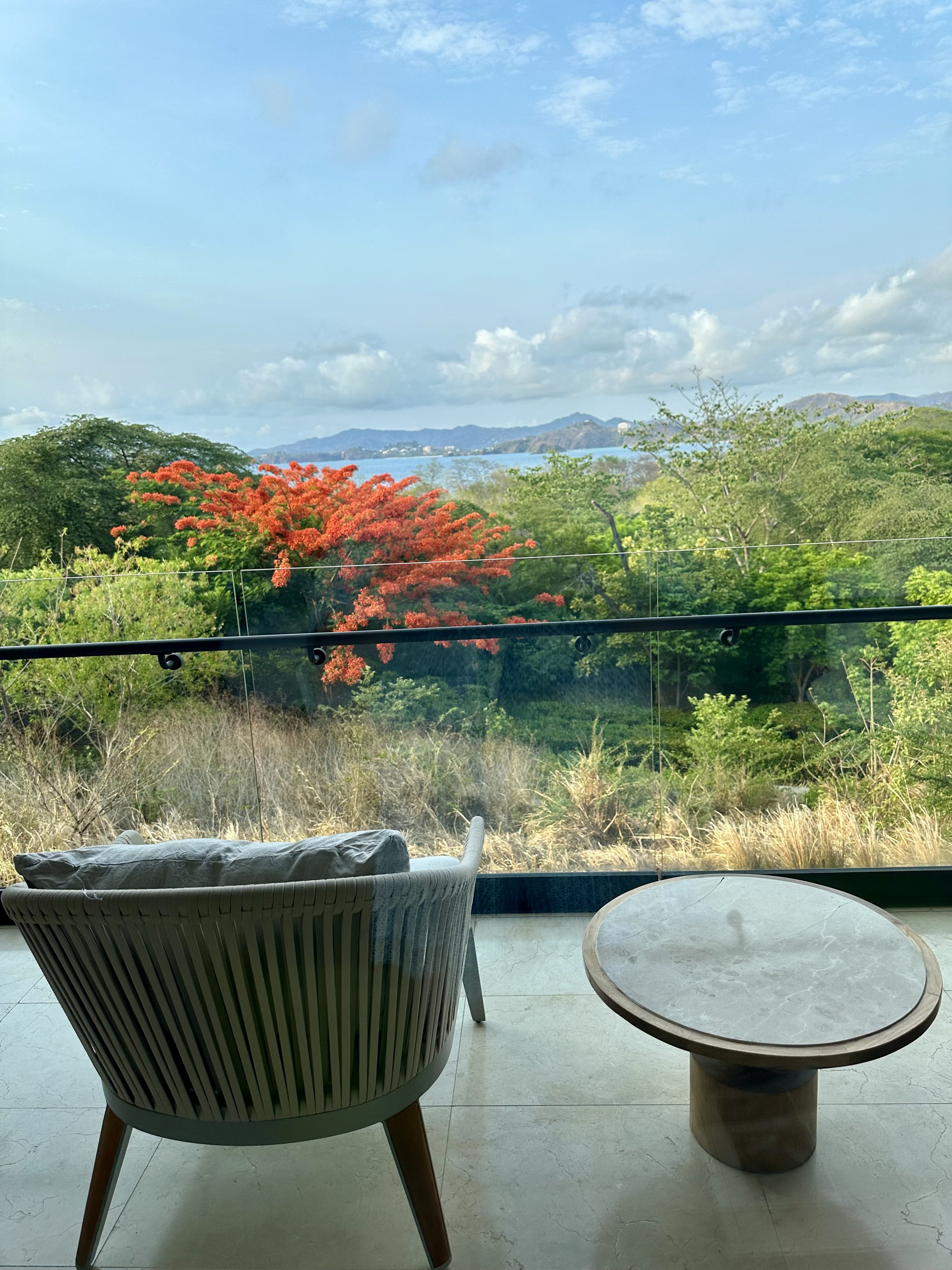 Panoramic views from the W Costa Rica.jpeg