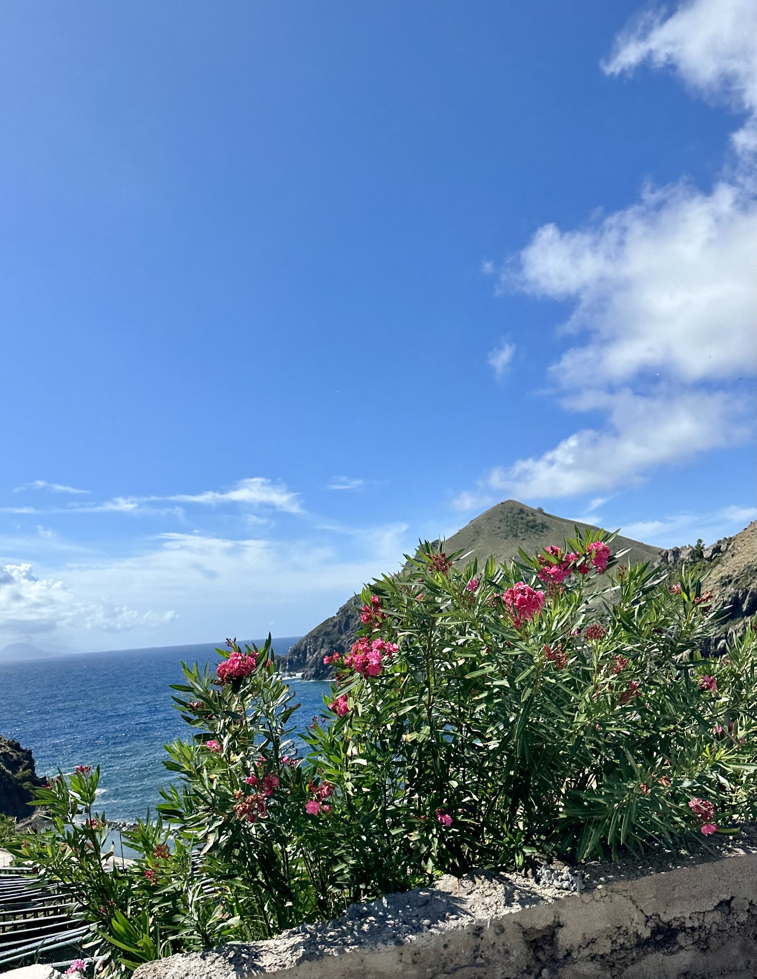 The lush island of Saba never disappoints.jpeg