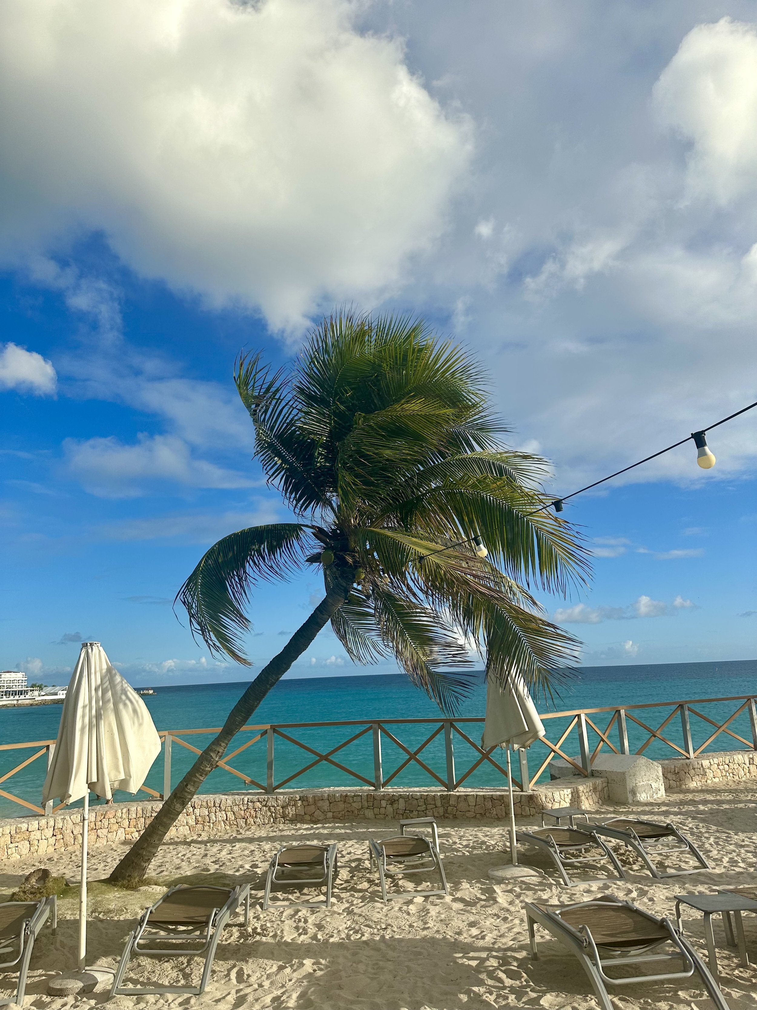Palms sway on the private beach in Sonesta Sint Maarten.jpeg