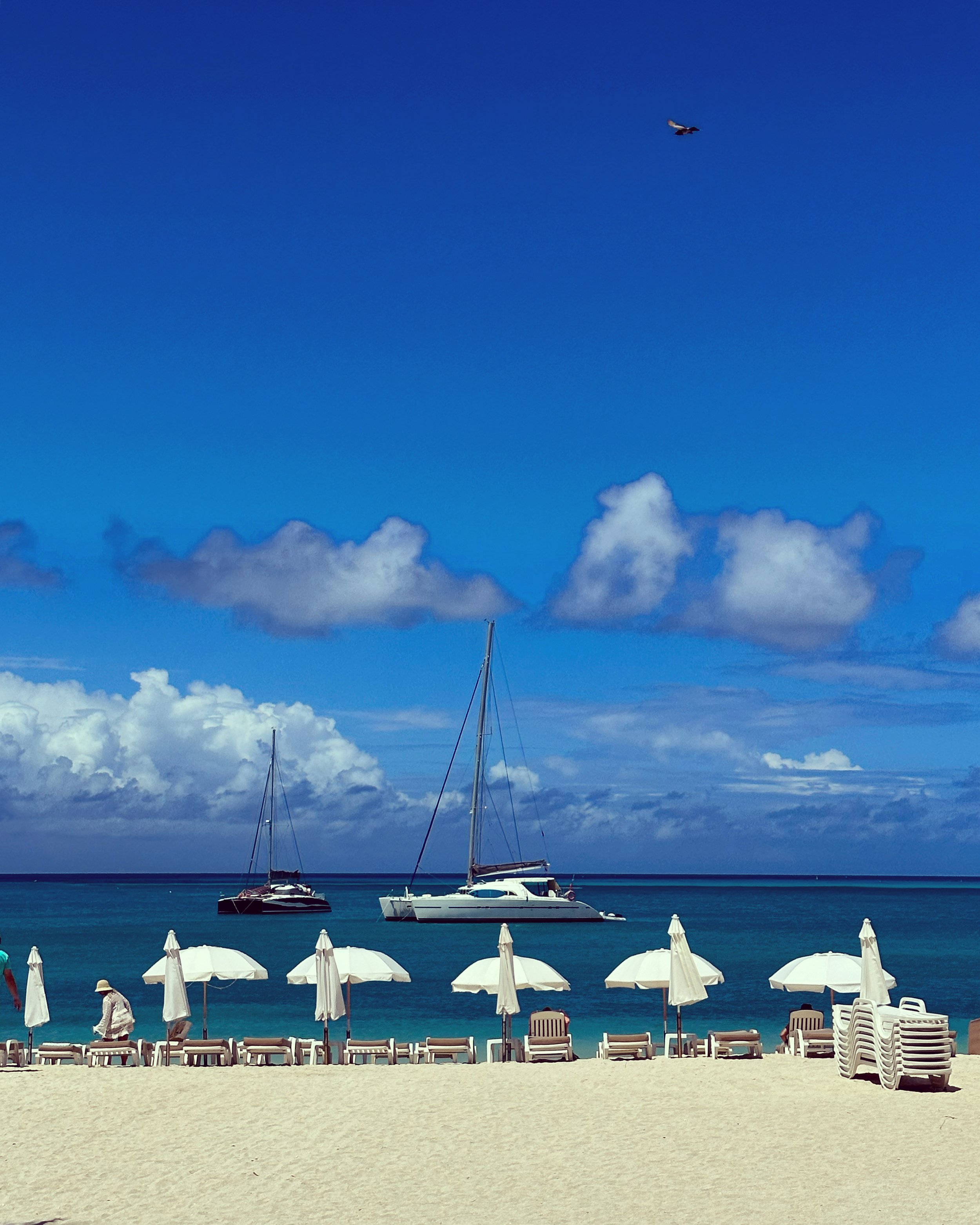 The beautiful beachside in Sint Maarten.jpg