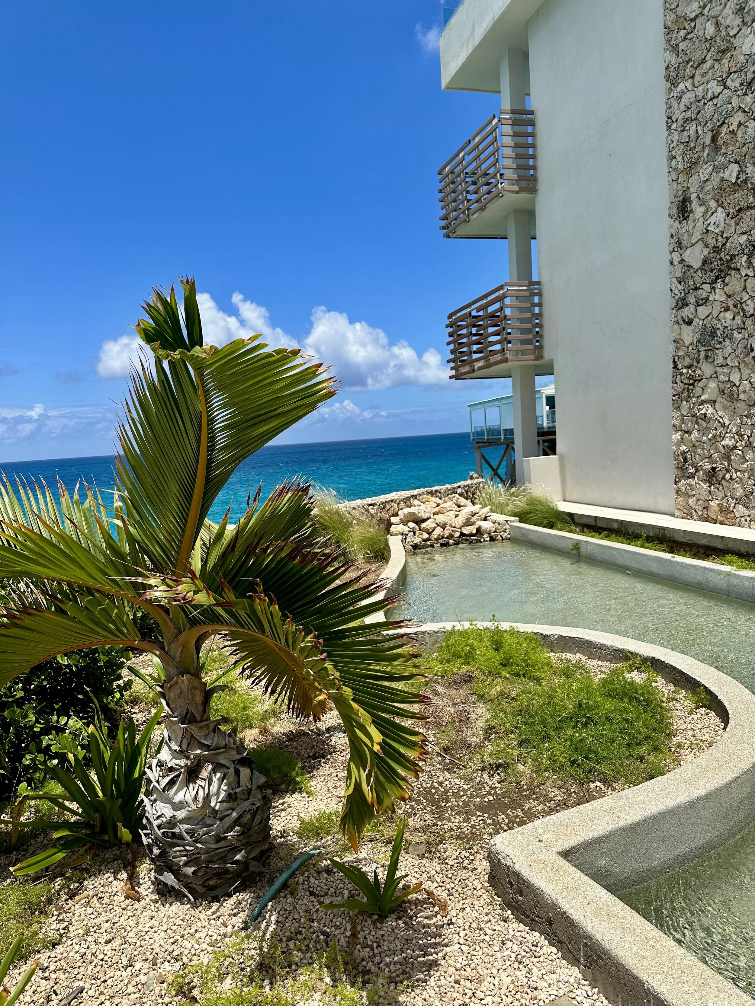 Tropical beauty abounds in Sint Maarten.jpeg