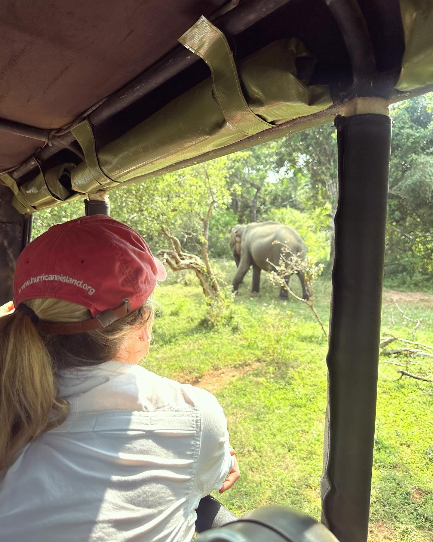 Sri Lanka - author on safari.jpeg