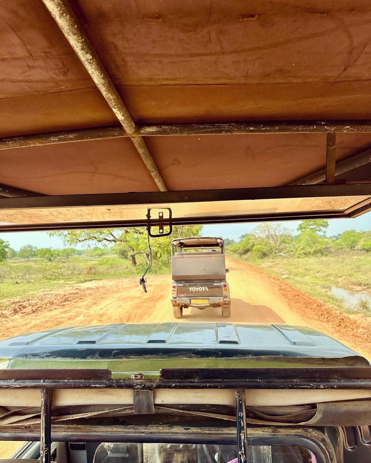 Jeep scenes from a Sri Lankan safari..jpg