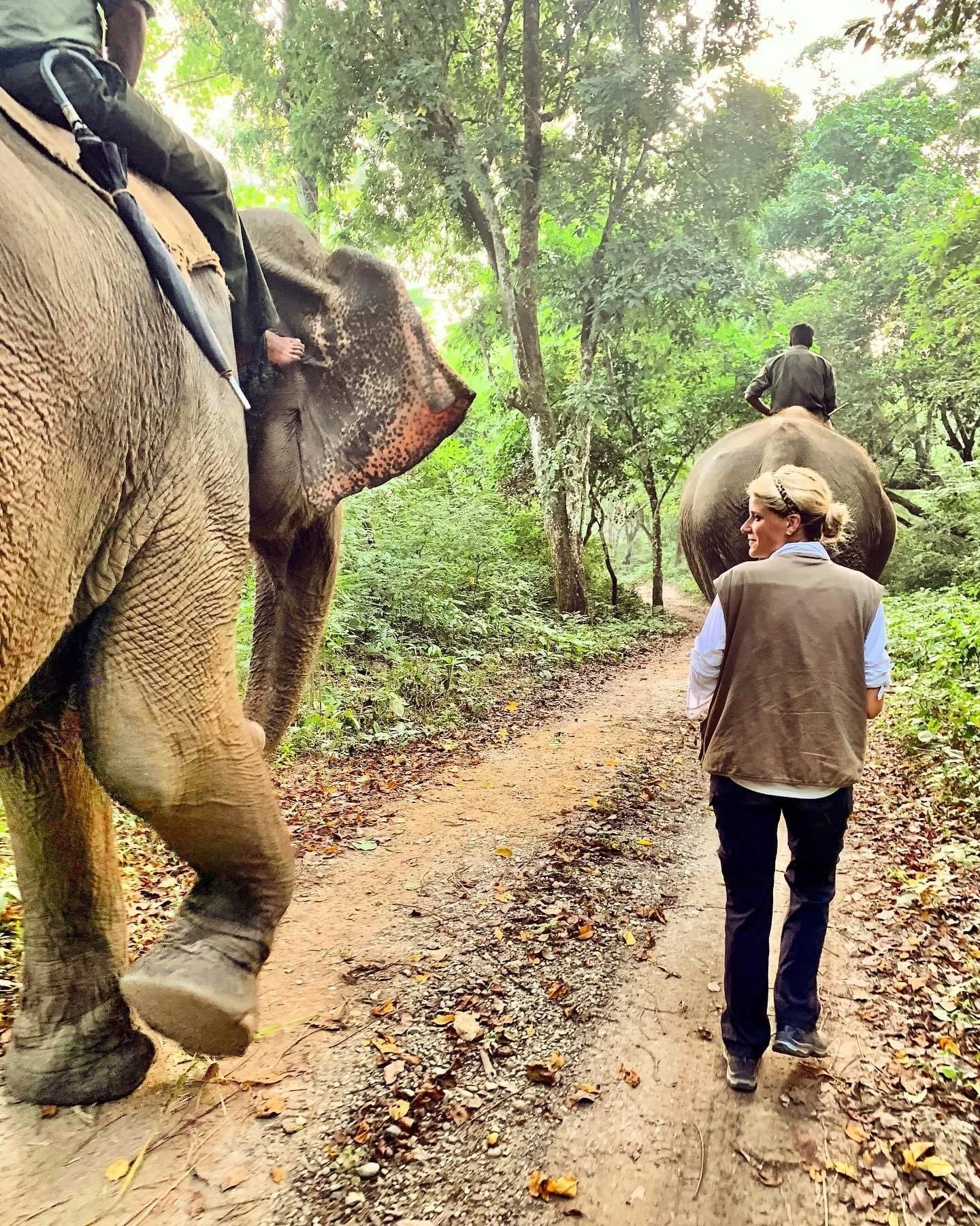 Nepal- elephant safari with tiger tops.jpeg