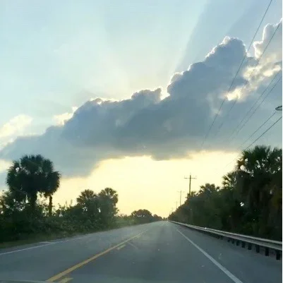 everglades.webp